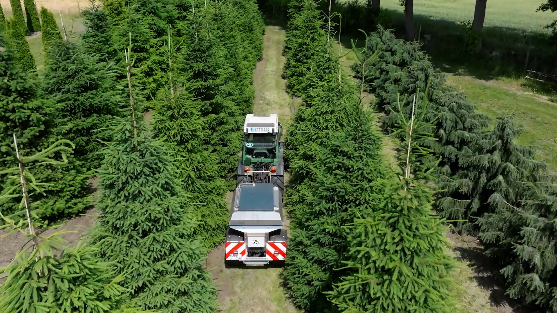 Bild 2 TreeFerty